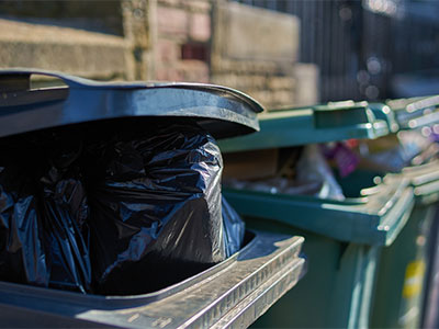 Waste and recycling bins